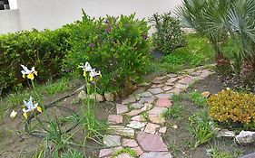 Appartamento Tulipano